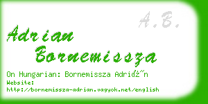 adrian bornemissza business card